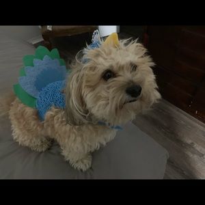 Meet your Posher, Sofiasofia